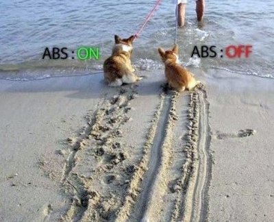 abs.jpg