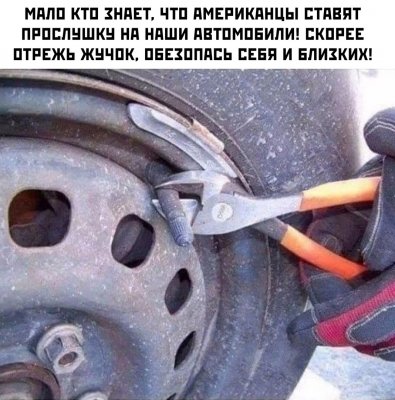 Жучок.jpg